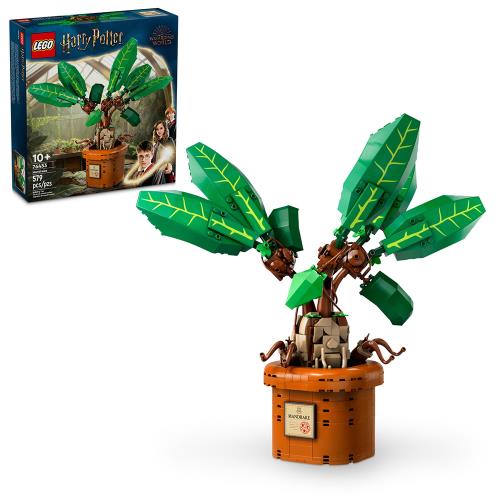 LEGO樂高積木 76433 202406 哈利波特系列 - Mandrake 魔蘋果