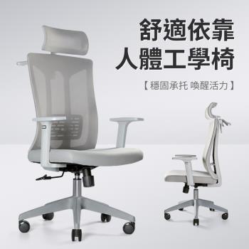 IDEA 費茲S型調節護瘠網布掛衣電腦椅/辦公椅(任選2色)