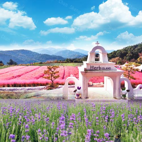 安妞韓國抱川藝術谷香草島樂園南怡島首爾塔五日(不走人蔘保肝)