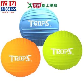 Success成功 特波士 無毒安全小排球 6吋 不含可塑劑 透過玩具安全檢測 排球 球 玩具 運動【愛買】