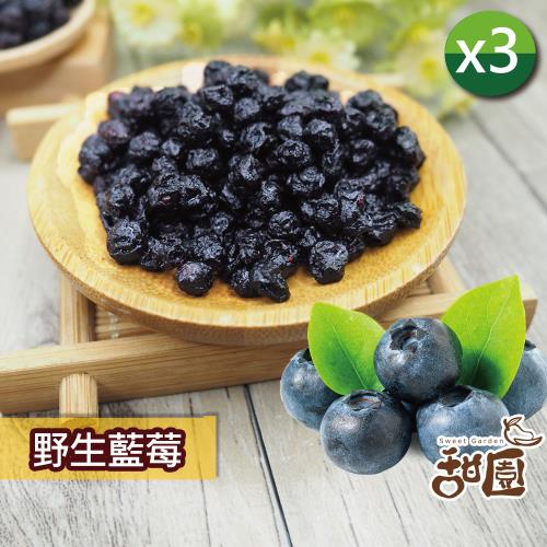 【甜園】無糖野生藍莓 60gx3包 無添加物  藍莓 天然水果乾 無糖果乾 女孩必備 豐富的花青素