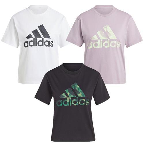 Adidas 短袖上衣 女裝 純棉 白/紫/黑【運動世界】IN7314/IS4256/IS4259