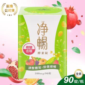 【大漢酵素】 淨暢酵素錠-90錠/瓶(1瓶)