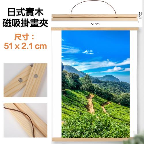真作】掛軸 無落款 書 逸品 O104 書