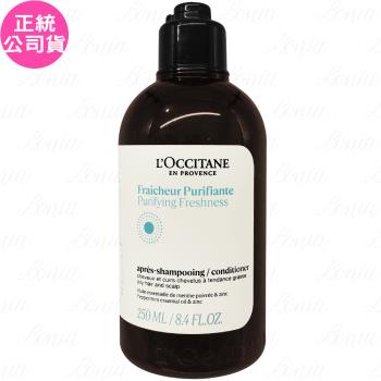 LOCCITANE 歐舒丹 草本淨涼潤髮乳(250ml)(公司貨)