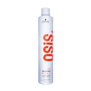Schwarzkopf 施華蔻黑炫風特強定型霧 黑旋風 大銀罐 定型噴霧 500ml(1入)