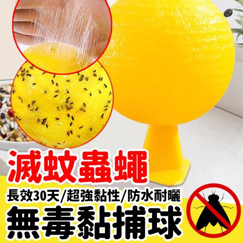 【黏蠅】強力飛蟲誘引球 5入組