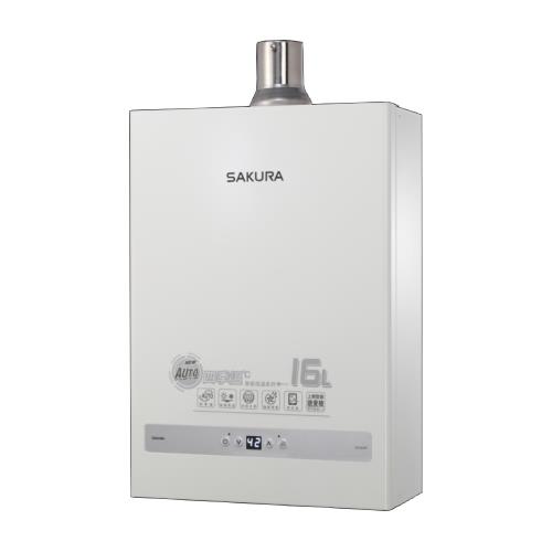 (全省安裝)(送5%購物金)櫻花16公升強制排氣(與DH-1637F/DH1637F同款)熱水器天然氣DH-1637FN
