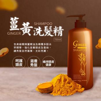 ALYSSANA 薑黃健髮洗髮精 750ml (強化髮根/頭皮呵護/溫和清潔/玻尿酸)