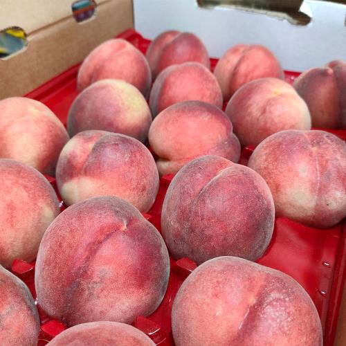 愛蜜果 誼馨園 桃仙子 空運美國加州水蜜桃16入原裝箱(約5公斤/箱)