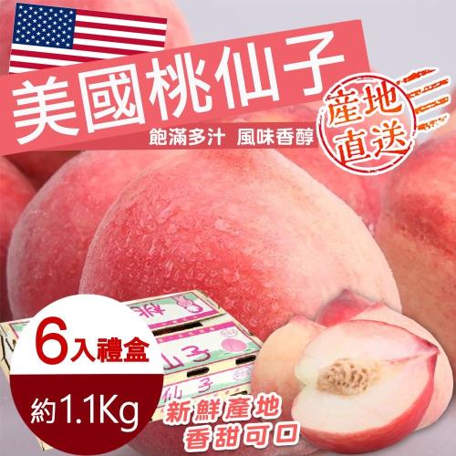 果物樂園-美國桃仙子水蜜桃禮盒(大顆6入/每顆250g)