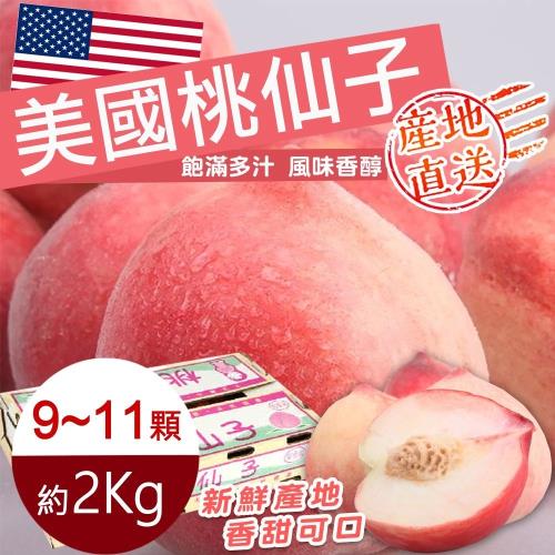 果物樂園-美國桃仙子水蜜桃X2盒(9-11入_約2kg/盒)