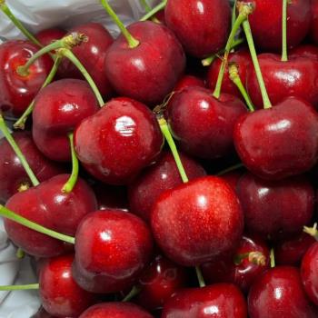 【RealShop 真食材本舖】美國華盛頓西北櫻桃 8.5R/1kg±10%