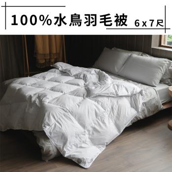 JENNY SILK 100%小羽毛被 臺灣製造 雙人 1入