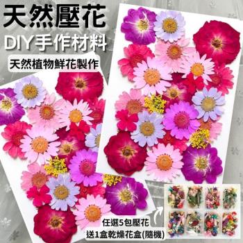 【A-ONE】藍色壓花 押花 乾燥花 壓花材料 DIY植物押花 押花材料 美甲乾燥花 壓花DIY 浮油花