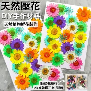 【A-ONE】花藝材料包 紅花綠葉 乾燥花 永生花 押花 壓花 DIY水晶滴膠 書籤 多款可選 植物標本
