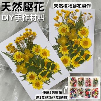 【A-ONE】乾燥壓花 押花材料 永生花 植物花卉 手賬手工裝飾 DIY材料 花朵 壓花貼畫 材料包