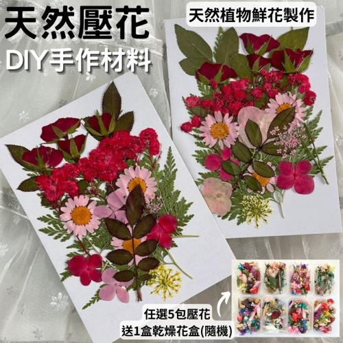 【A-ONE】森林壓花 壓花書籤 壓花材料包 乾燥花書籤 乾燥壓花 押花 壓花材料 壓花DIY 樹葉書籤 乾燥花 