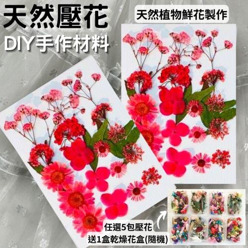 【A-ONE】天然壓花 押花書籤 壓花材料包 乾燥花書籤 壓花材料 壓花DIY 樹葉書籤 乾燥花