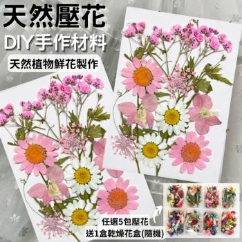 【A-ONE】花包組合 真花壓花 彩色永生花 天然花材 DIY水晶滴膠 乾燥花 植物標本 押花材料包