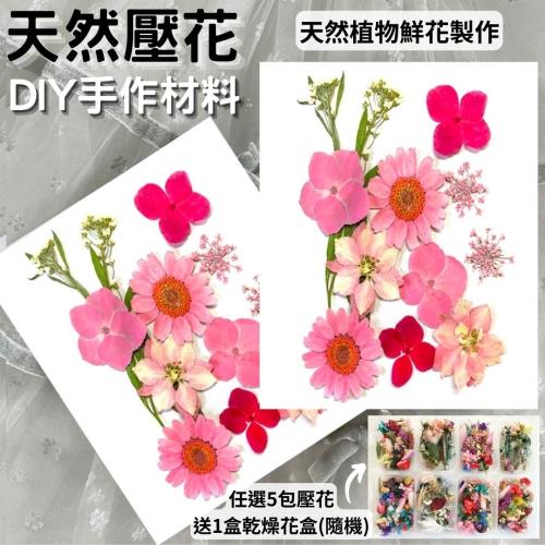 【A-ONE】超值乾燥壓花包 乾燥花材料包 DIY花材 花藝材料 乾燥花 永生花 香薰蠟燭 浮油花 壓花 花材