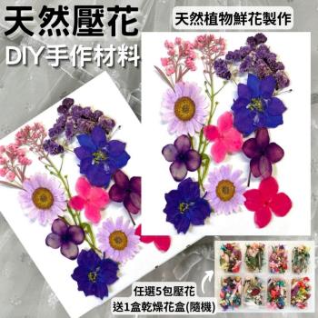 【A-ONE】乾燥壓花材料 永生花材料 DIY花材 乾燥花 永生花 不凋花 香薰蠟燭材料 浮油花 裝飾花 壓花