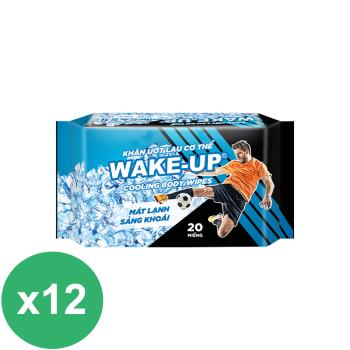 立得清 WAKE UP酷涼運動濕巾20抽X12包
