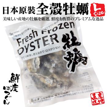 海肉管家-日本原裝全殼牡蠣L尺寸X2包(每包7顆/單顆70-85g 約500g)