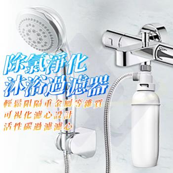 【禾統】除氯淨化沐浴過濾器-3入