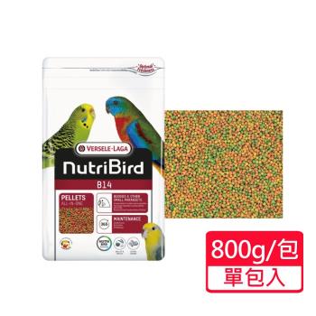 【Versele 凡賽爾】B14中小型鸚鵡-濃縮滋養丸 顆粒飼料 800g/包