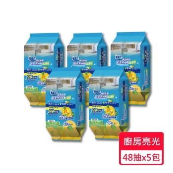 【無塵氏】鳳梨酵素廚房亮光布 48抽x5包
