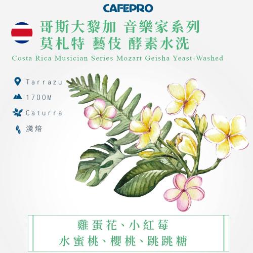 CAFEPRO 哥斯大黎加 音樂家系列 莫札特 藝伎 500公克 (酵素水洗)(咖啡生豆)(二次篩選)