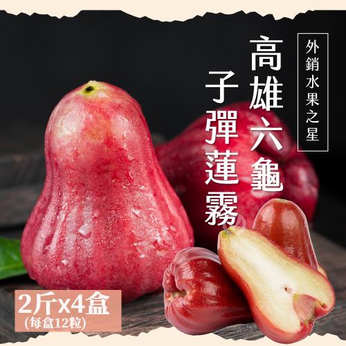 【初品果】高雄六龜子彈蓮霧禮盒2斤x4盒_每盒12粒