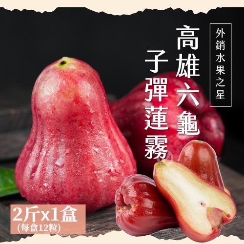 【初品果】高雄六龜子彈蓮霧禮盒2斤x1盒_每盒12粒