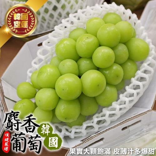 果物樂園-韓國空運無籽麝香綠葡萄(4盒_每串500-600g)