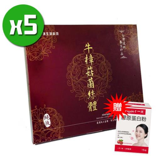 【長庚生技】牛樟菇菌絲體純液禮盒x5盒(12入/盒)+贈膠原蛋白粉(1盒)