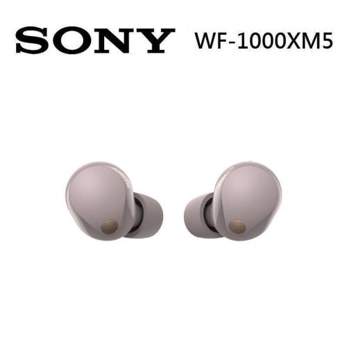 SONY 索尼 WF-1000XM5 真無線降噪耳機 1000XM5 公司貨 玫瑰灰