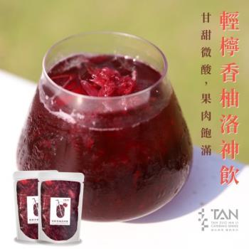 【碳佐麻裡】經典飲料組 輕檸香柚洛神飲9入 果汁 解渴 夏天飲品 冷凍 冰沙