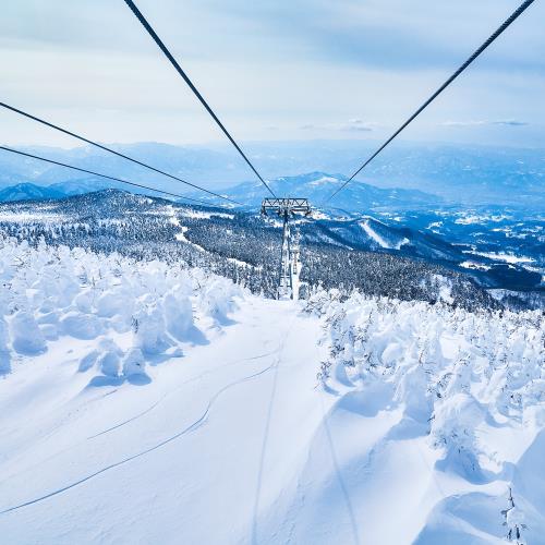 【東森旅遊】藏王樹冰玩雪採果溫泉和牛螃蟹六日 7603677