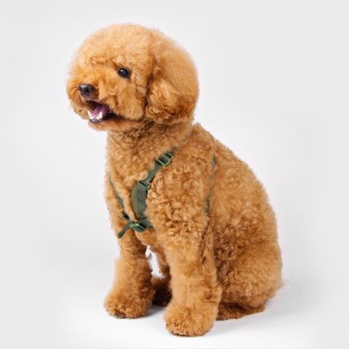 【 SPUTNIK 斯普尼克】胸背帶 L號 綠色