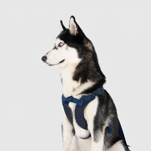 【 SPUTNIK 斯普尼克】胸背帶 M號 藍色