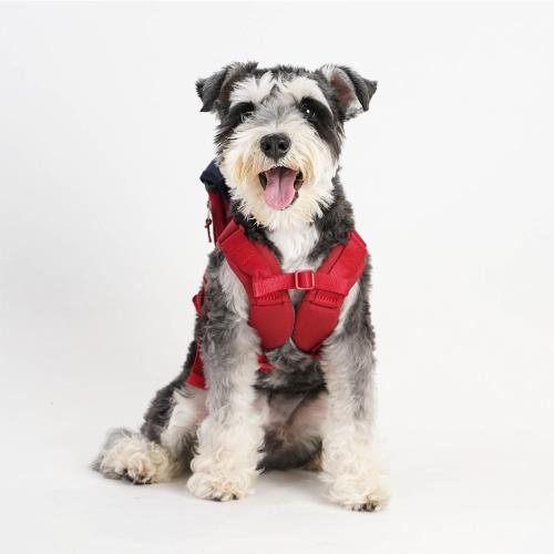 【 SPUTNIK 斯普尼克】胸背帶 M號 紅色