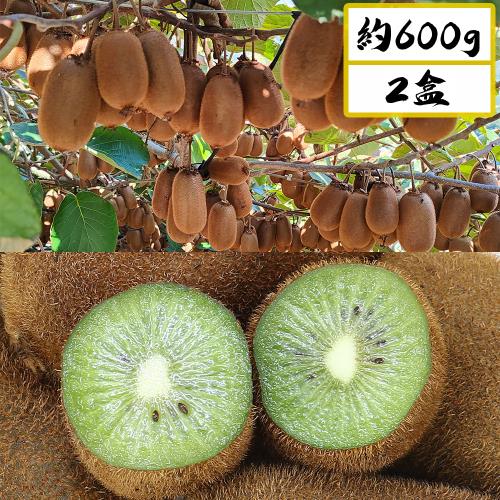 愛蜜果 台灣梨山綠色奇異果 (12-13顆/約600克/盒) X2盒