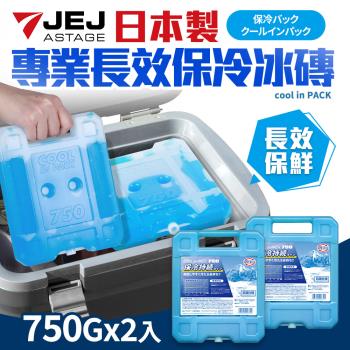日本製專業長效保冷冰磚750g 2入組(保冷/保冰/保鮮用)