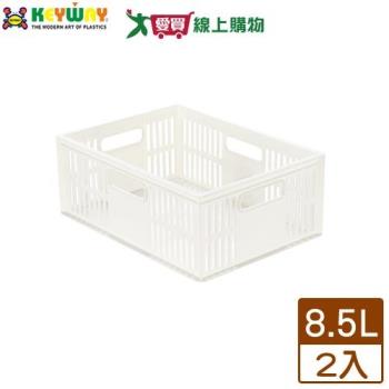 KEYWAY聯府 總理萬用籃 DT25【2件超值組】臺灣製 可堆疊 收納 置物 整理【愛買】