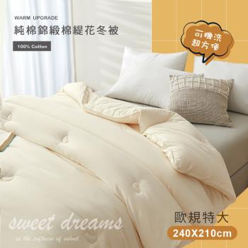 BELLE VIE 歐規特大 錦緞緹花純棉可水洗保暖冬被 (240x210cm) 保暖冬被 棉被 被胎 被芯