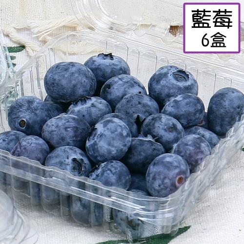 愛蜜果 美國/祕魯/智利 新鮮藍莓6盒(約125g/盒)