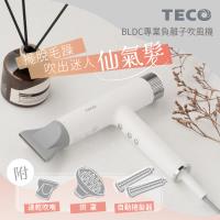TECO東元 BLDC專業負離子吹風機 XYFXZ003