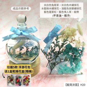 【A-ONE】浮游花DIY花材包 永生情人草 永生花 植物果實 花藝 手做 乾燥花 不凋花 乾花 H20藍霓流雲