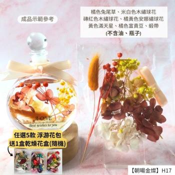 【A-ONE】浮游花DIY花材包 安娜繡球 花材 乾燥花材 浮油花 不凋花 永生花 乾燥花花材 富貴豆 H17朝暘金燦